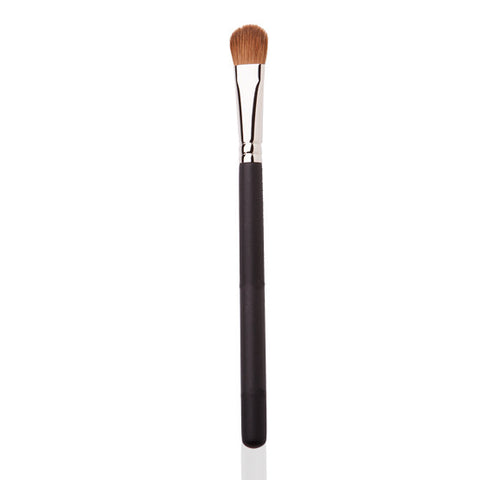 Image of a large fluffy eyeshadow brush with a silver and black handle. 