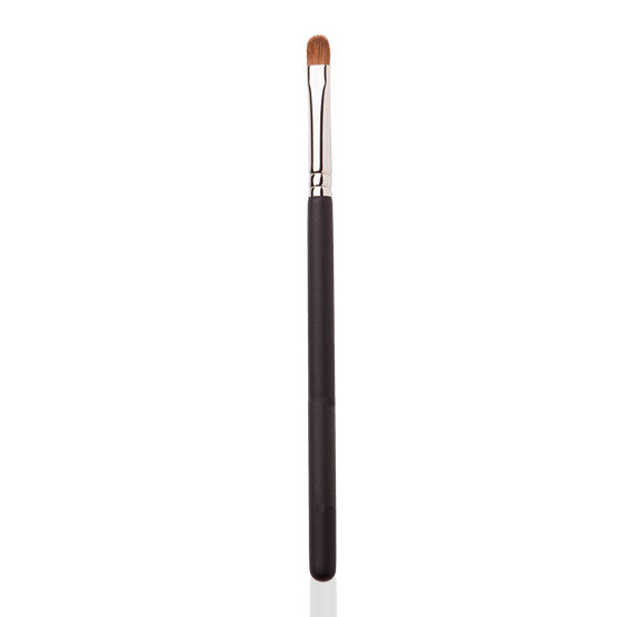 Image of a small make-up brush with black and silver handle. 